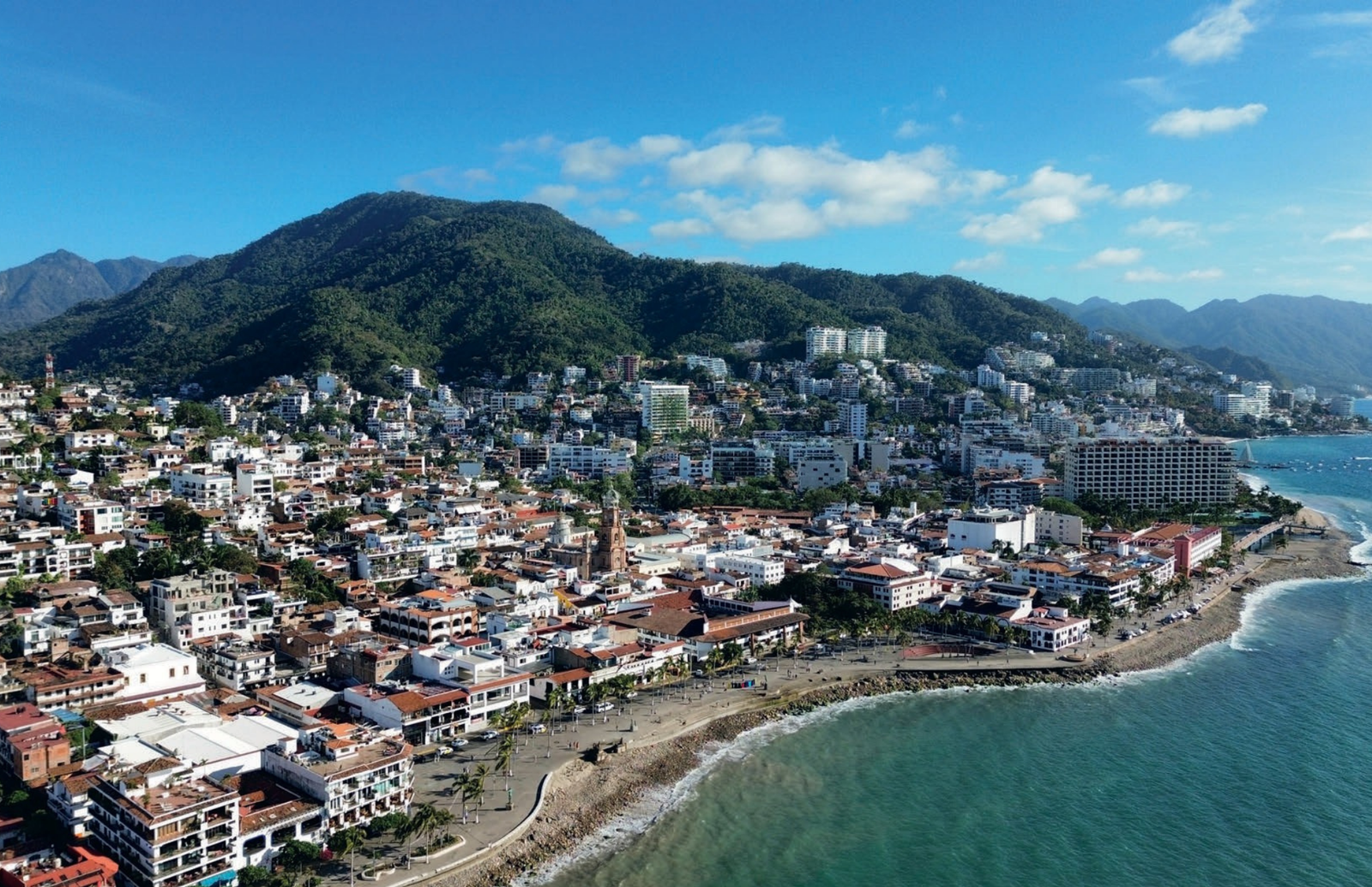 Vista Silvestre
